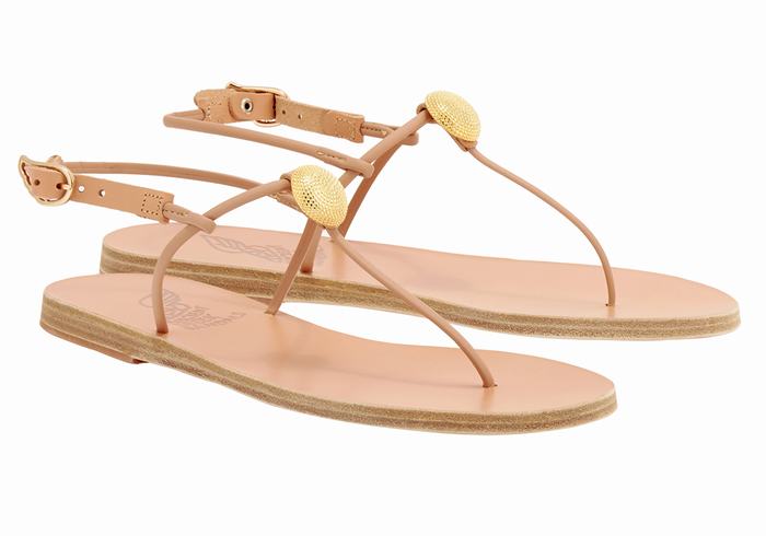 Sandales Bride Arrière Ancient Greek Sandals Dimitra Flip Flop   | YRC-0314856